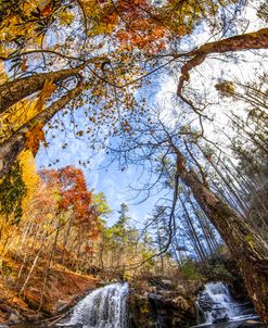 Towering Above the Falls