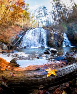 Waterfall in the Forest Turtletown Creek Falls