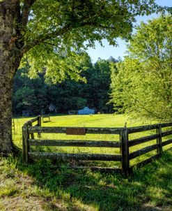 Shadows along the Farm Fence