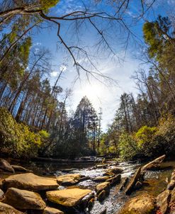 Wide View of the Stream