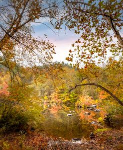 Early Autumn Reflections on the Edge