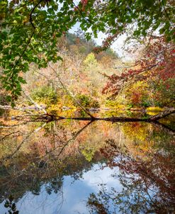 Early Autumn Reflections