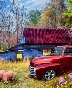 Early Springtime Farm