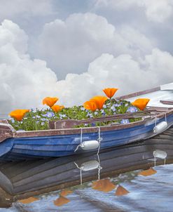 Boat In Poppies