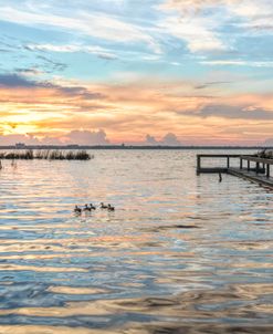 Peaceful Sunrise Swim