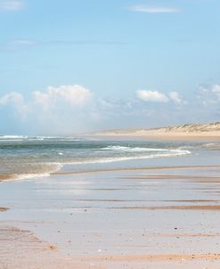 Peaceful Beach Walk