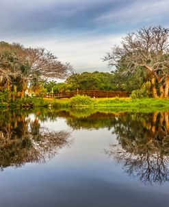 Wooden Bridge At The Pond