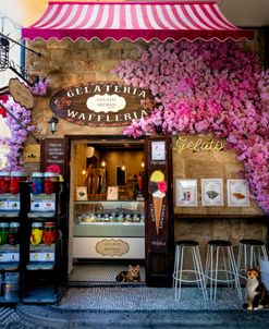 Downtown Gelato Shoppe
