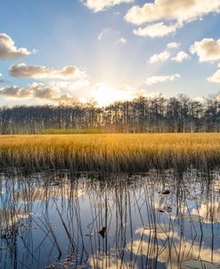 Sunset Over The Grassy Marsh