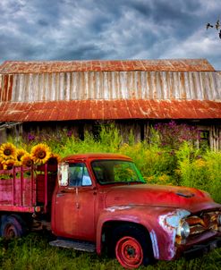Country Rust In Reds
