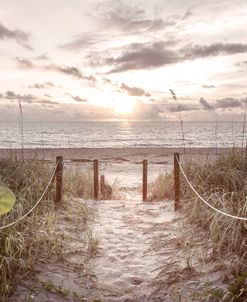 Dune Sands Glow At Beach Dawn