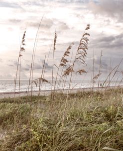 Seaside Beachhouse Breezes