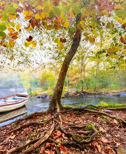 Misty Autumn Drifting