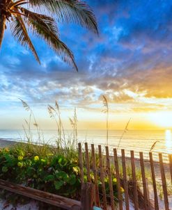 Beautiful Beach View