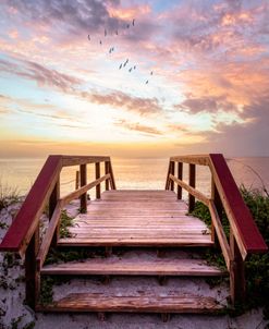 Step into Morning at the Beach