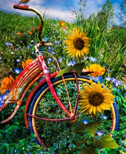 Bicycle Summer Sunflowers