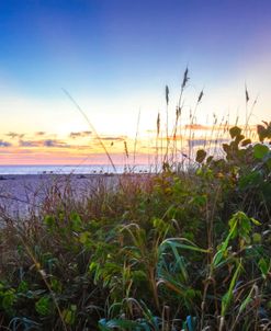 Sunbeams over the Sanddunes