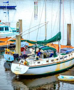 Peace at the Docks