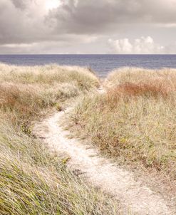 Beach Trail Cap Aux Meules Magdalen Islands Canada Neutral Tones