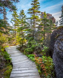 Boardwalk Trails at Havre Saint Pierre Bay Quebec Canada