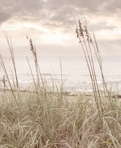 Salty Ocean Beach Breezes