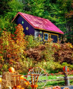 Sugar Shack Farm Quebec Canada