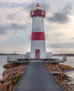 The Lighthouse Harbor St Pierre Miquelon France