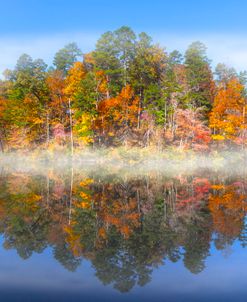 Misty Autumn