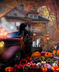 Halloween under the Full Moon
