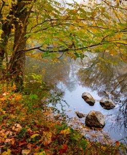 Valley River Smoky Mountains