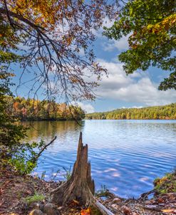 Autumn Blue Skies