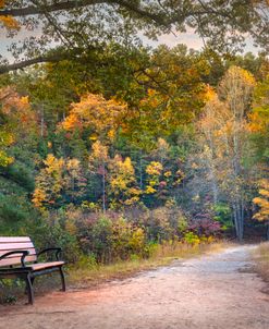 Bench On The Edge