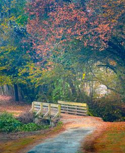 Little Bridge On The Valley River Smoky Mountains