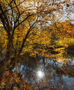 Valley River Sunrays