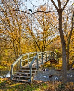 Woodlands Bridge