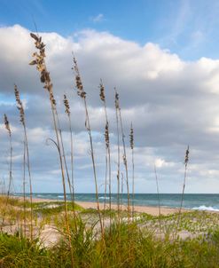 Coastal Beach Breezes