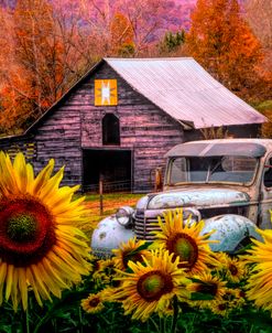 Countrified