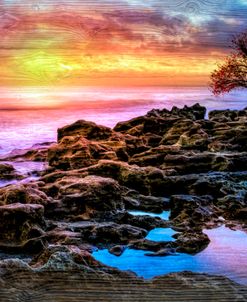 Creation
