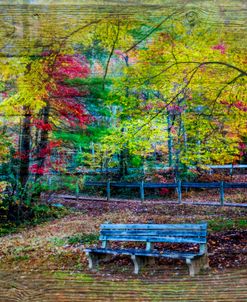 Fall
