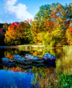 Rowboats