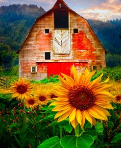 Rustic