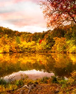 Stillness