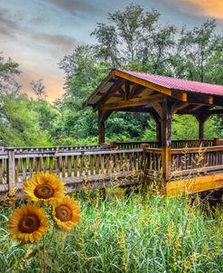 Covered Bridge At The River