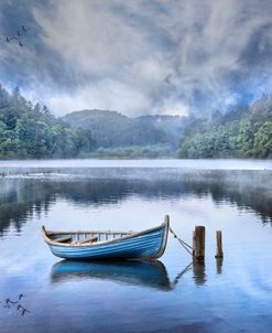 Floating Into Spring