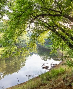 Sunrays Over The River