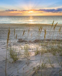 Sunrise Over The Sand Dunes