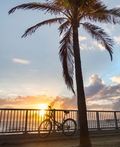 Soaking Up The Sun Bike At The Beach