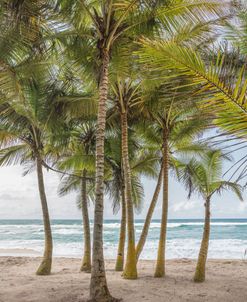 Dancing In The Breeze I