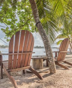 Lounging Under The Palms