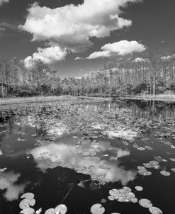Beautiful Waters In The Clouds Black And White